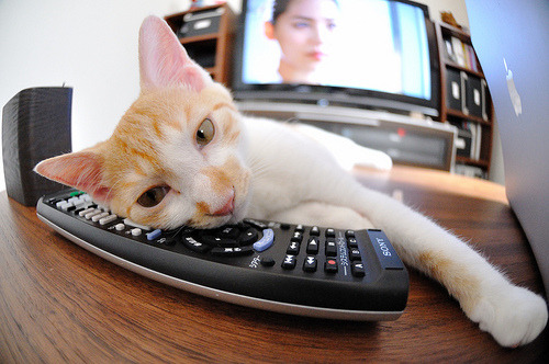 爱游戏体育-辽宁队力克雄鹿，当东方铁血撕破字母铠甲，布伦森的纪录为谁敲响警钟？