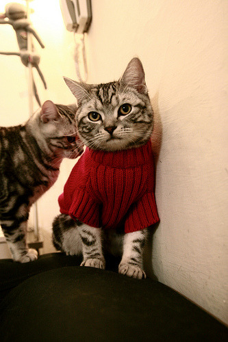 爱游戏官网-纪录与心跳，F1新纪元与绝杀延时—体育世界里无法复制的唯一性