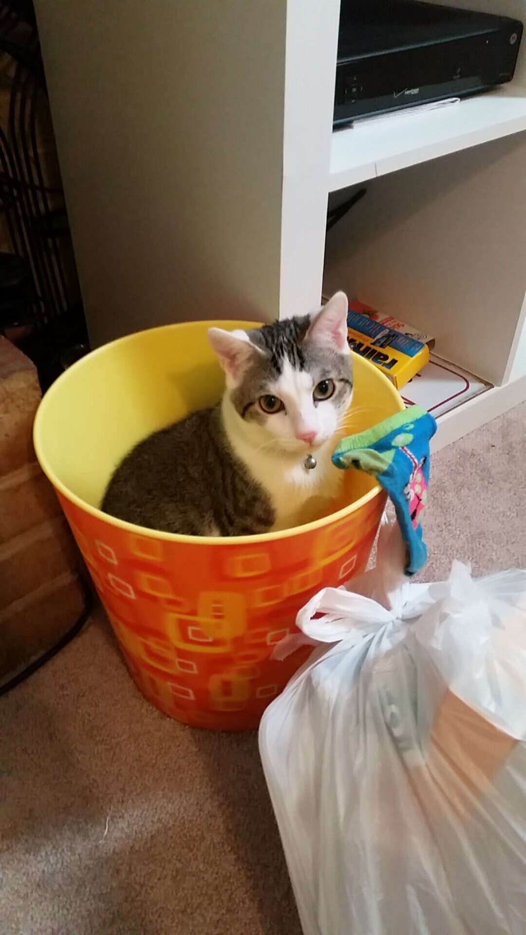 阿尔瓦雷斯爆发助摩纳哥争冠战胜出希腊