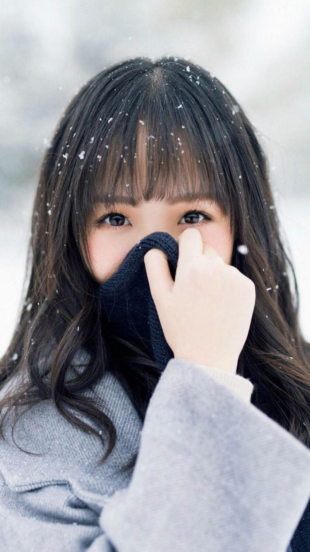 布克的节奏舞步，热火如何用团队篮球斩落强敌广东