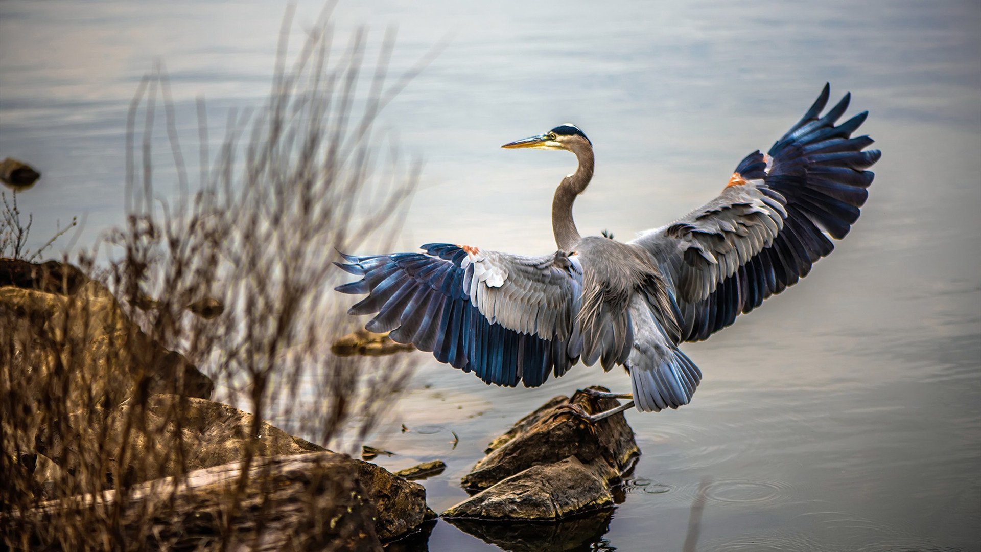 西决生死战之夜，莱奥完成里程碑，最后1.7秒与漫长的十年