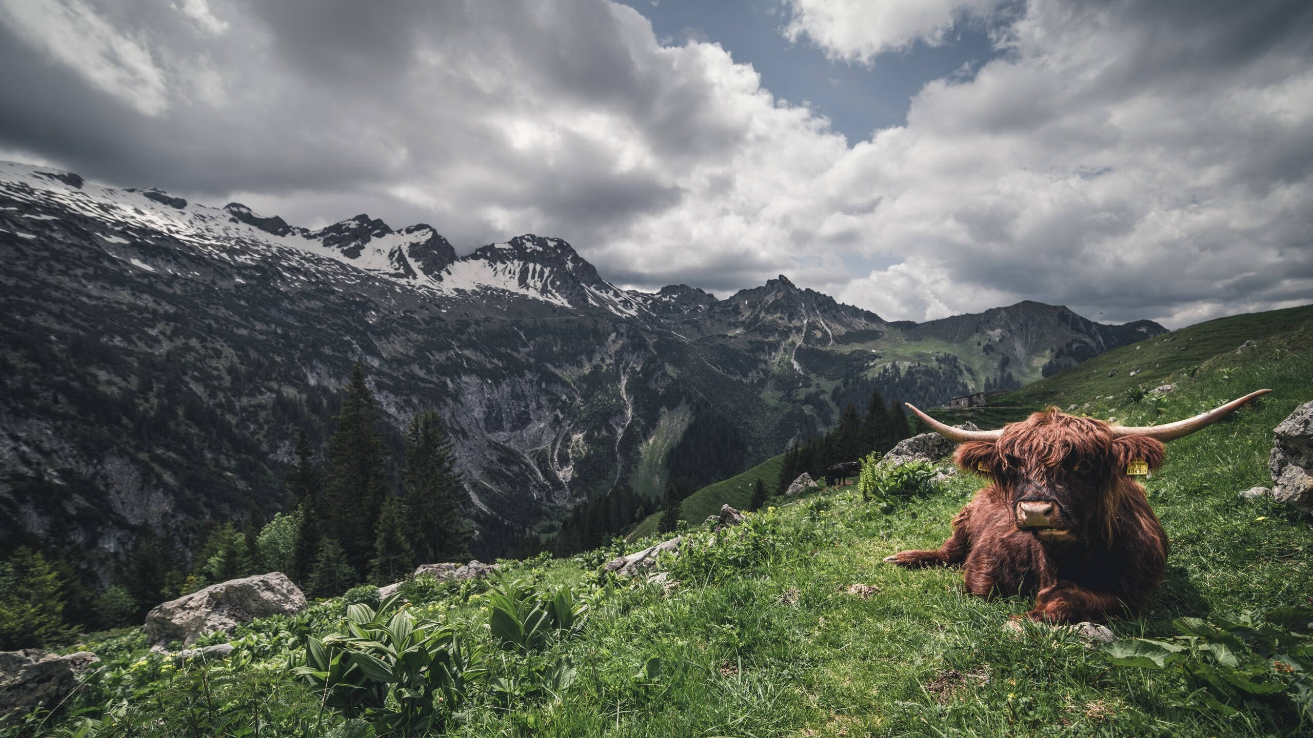 爱游戏大厅-新生代巨人统治攻防！切特关键4帽锁定胜局，爵士险胜浙江赢得国际邀请赛