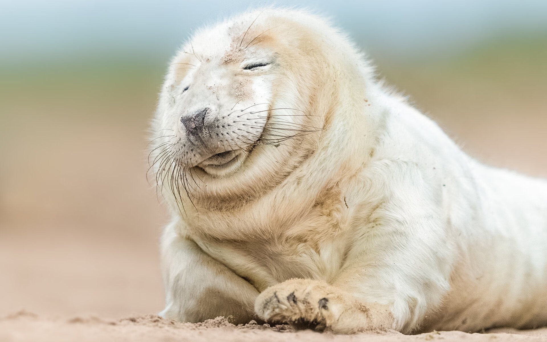 传奇之夜，哥伦比亚打穿德国战车，伊布在英超争冠中接管比赛