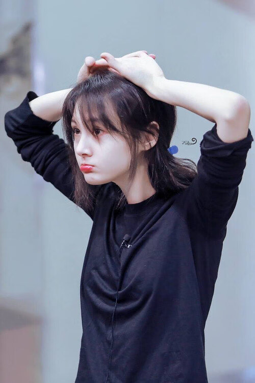 决战生态之巅，2026世界杯黄蜂与森林狼的终极碰撞