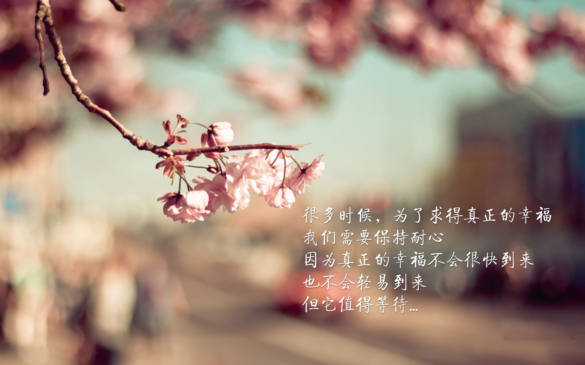 魔术时间!约基奇用21-4国王收割表演接管总决赛