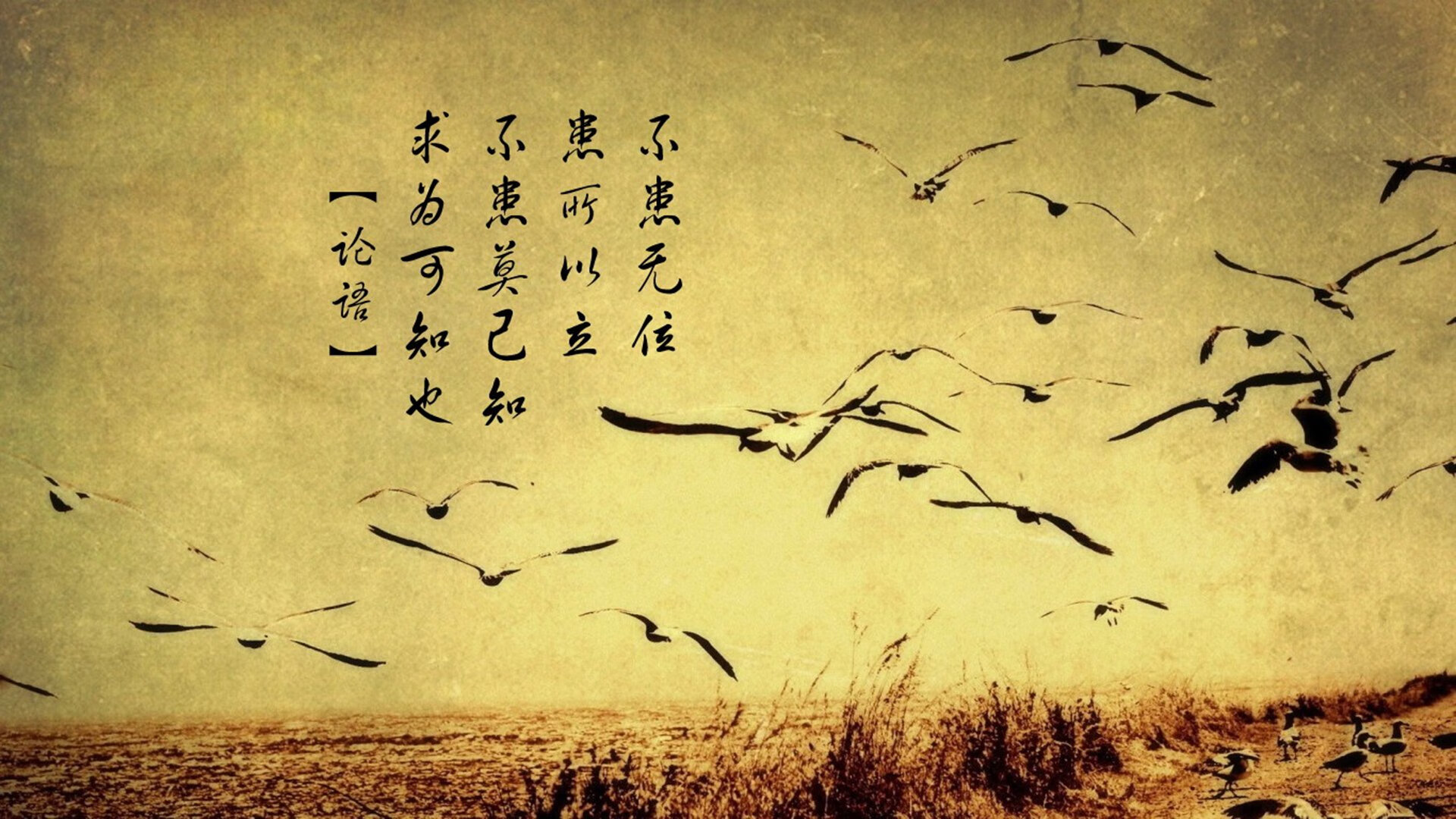 沉船记,当克莱的三分雨让独行侠的航程提前终结