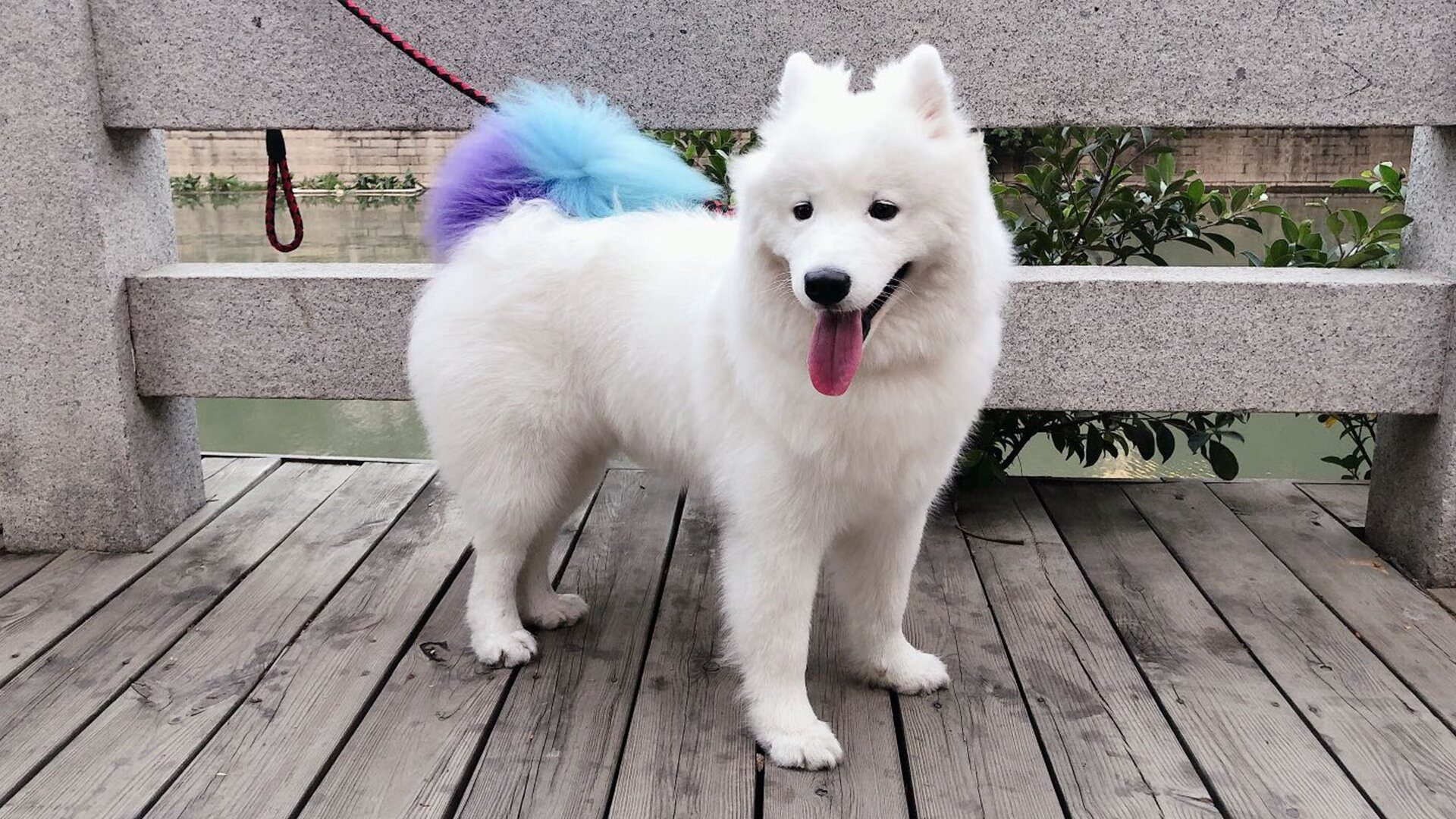 唯一之战，北京队决胜局力克魔术，伦纳德化身关键先生