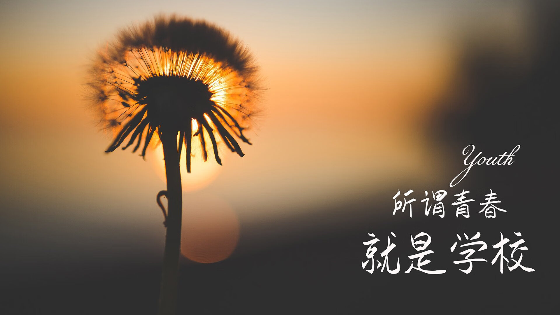 爱游戏体育-2026世界杯E组关键战，加纳横扫泰国，努涅斯带队取胜，全场压制书写唯一剧本