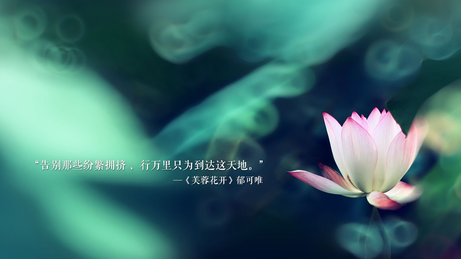 铁骑碾碎新月，捷克用最不捷克的方式，赢下了一场最捷克的胜利